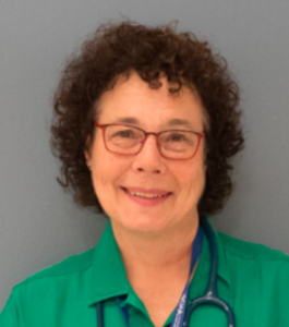 Profile Image for Lisa Dobberteen, Medical Director for School Health and Public Health Programs at the Cambridge Public Health Department.