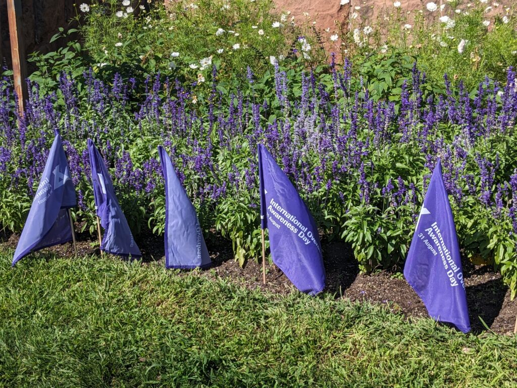 Flags planted at City Hall. 