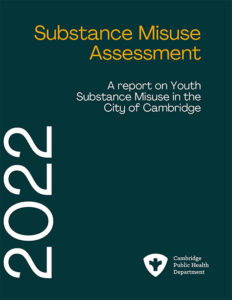 Cover with the title, "Substance Misuse Assessment."